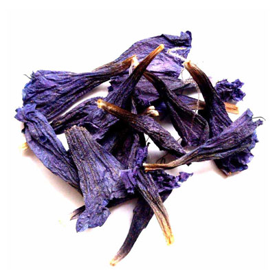 گل گاوزبان