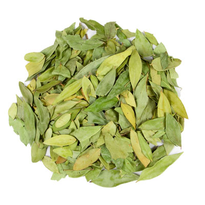 برگ مورد