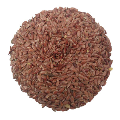 بزرک سرخ