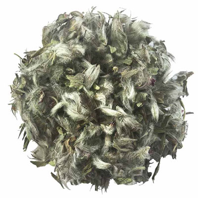 چای کوهی