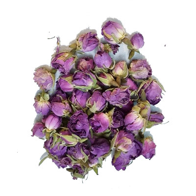 غنچه گل سرخ