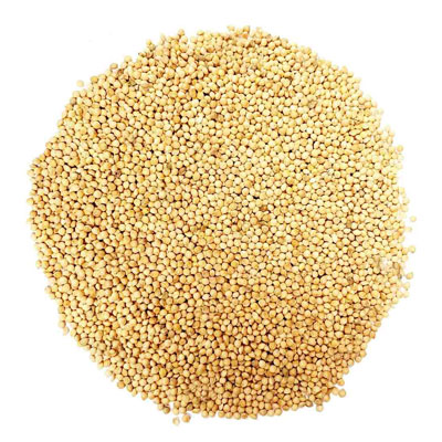 ارزن ریز